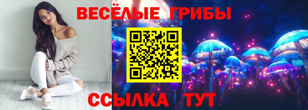 Электросталь  Псилоцибиновые грибы GOLDEN TEACHER  Вход с VPN 